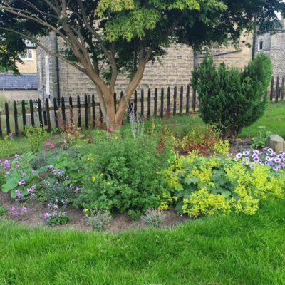 Brownie garden at Birch with plants and a tree